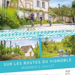 Sur les Routes du Vignoble