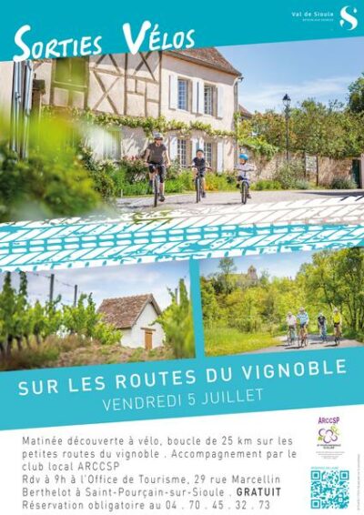 Sur les Routes du Vignoble