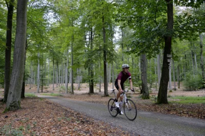 Les Vosges du Nord